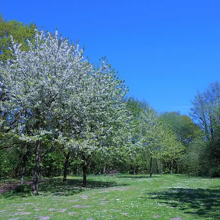 Panoramic App B10-3 Sierksdorf