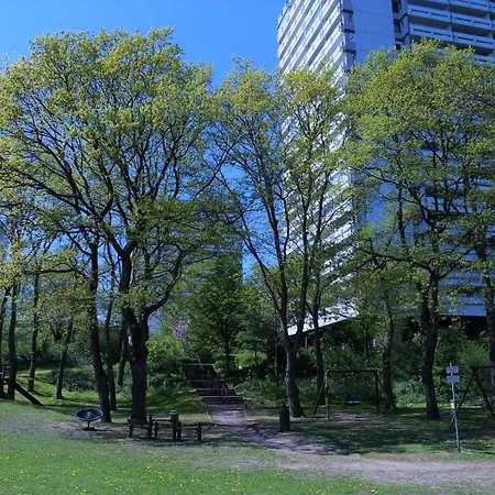 Panoramic App B10-3