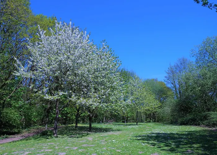 Panoramic App B10-3 Sierksdorf